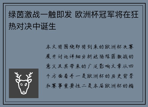 绿茵激战一触即发 欧洲杯冠军将在狂热对决中诞生