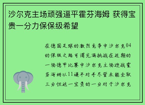 沙尔克主场顽强逼平霍芬海姆 获得宝贵一分力保保级希望